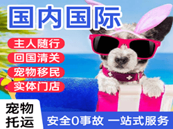 三女河航空物流国际宠物托运 【国